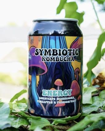 Zambur Ferments Kombucha