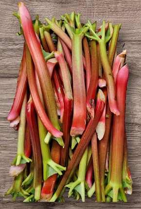 Rhubarb