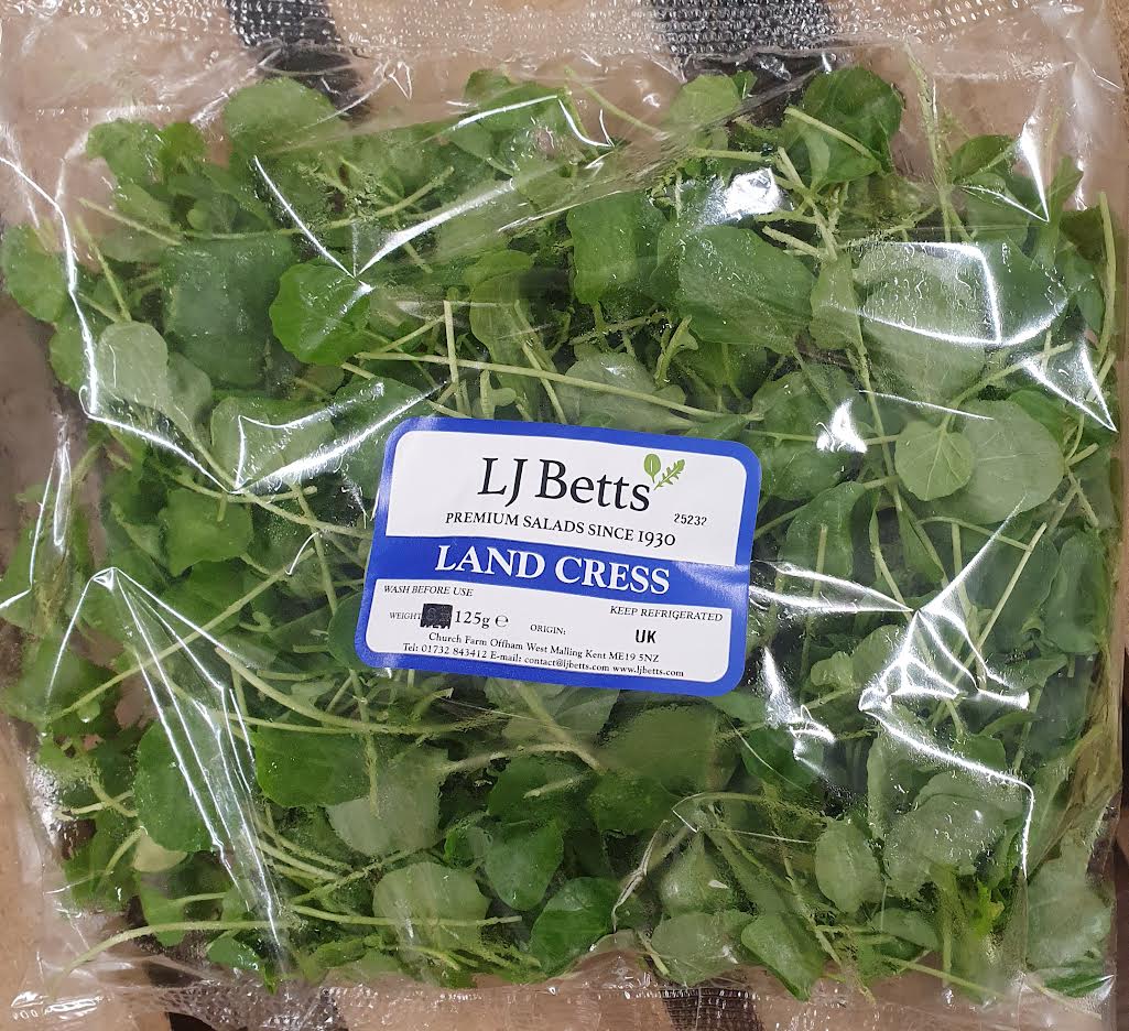 Landcress