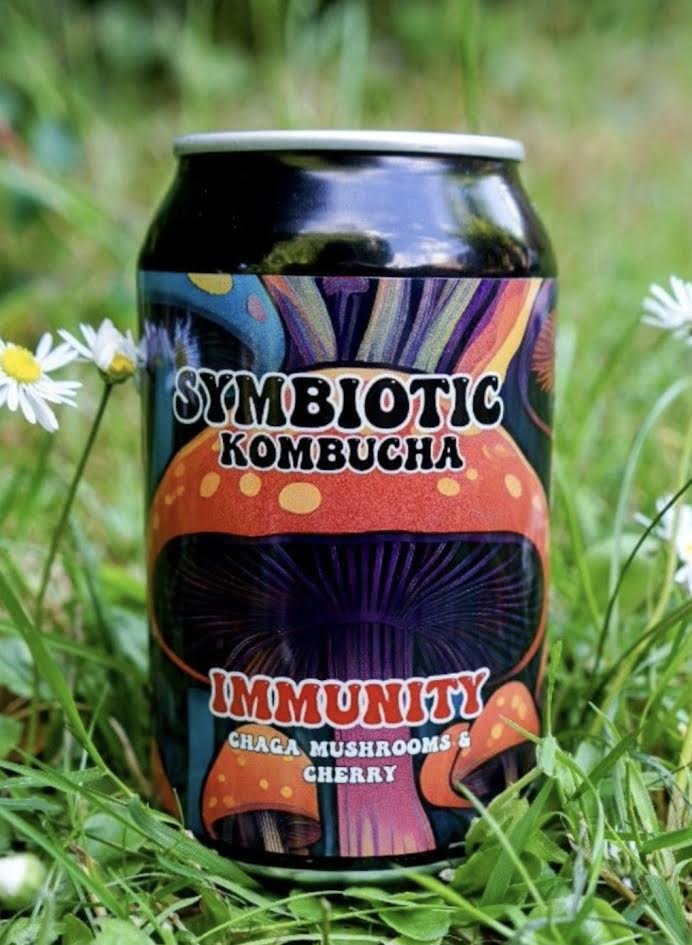 Zambur Ferments Kombucha