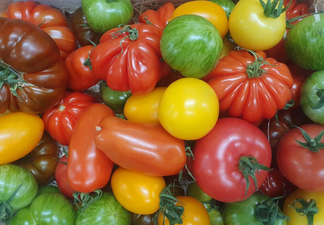 Heritage Tomatoes
