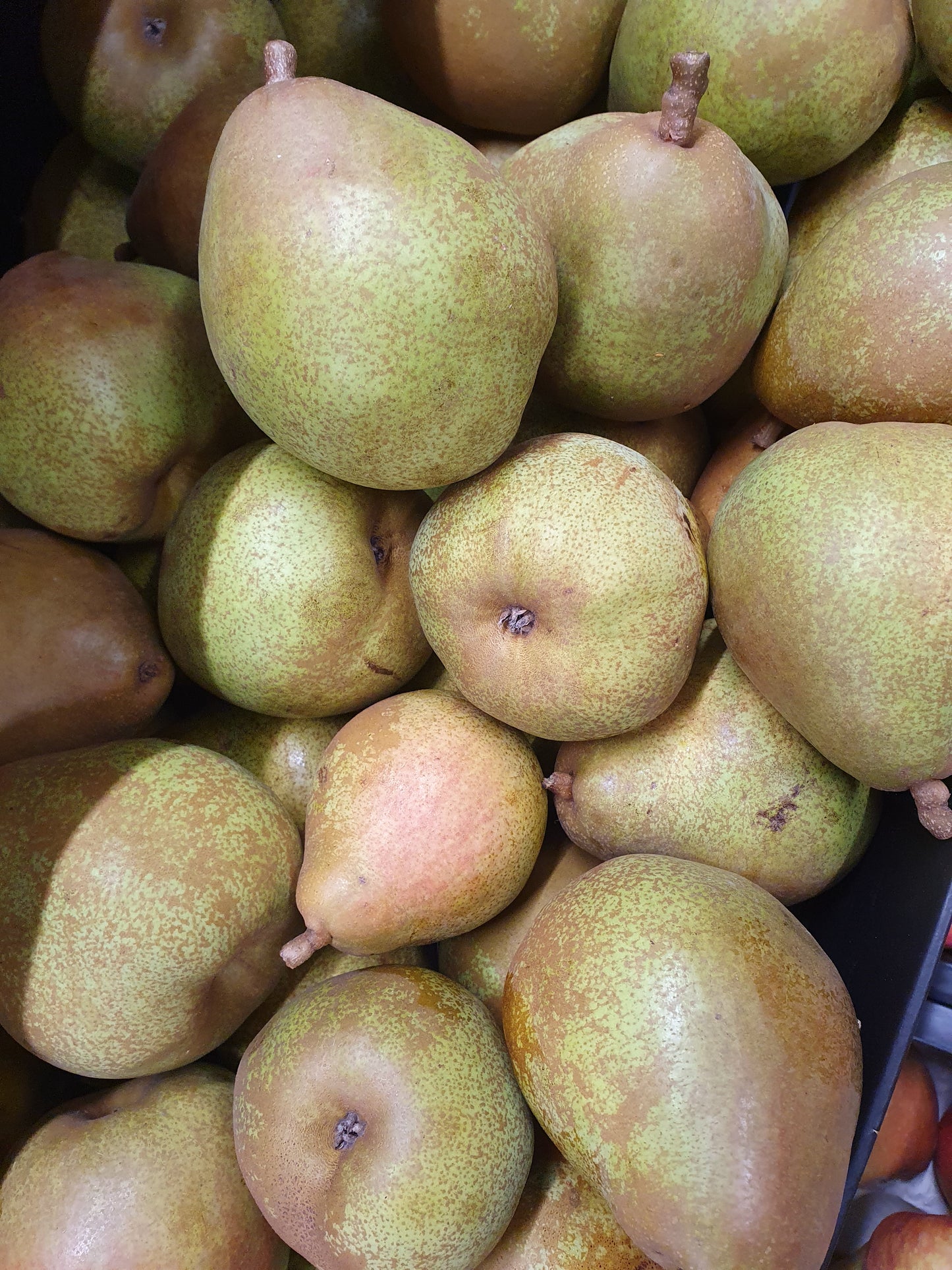 Comice Pears