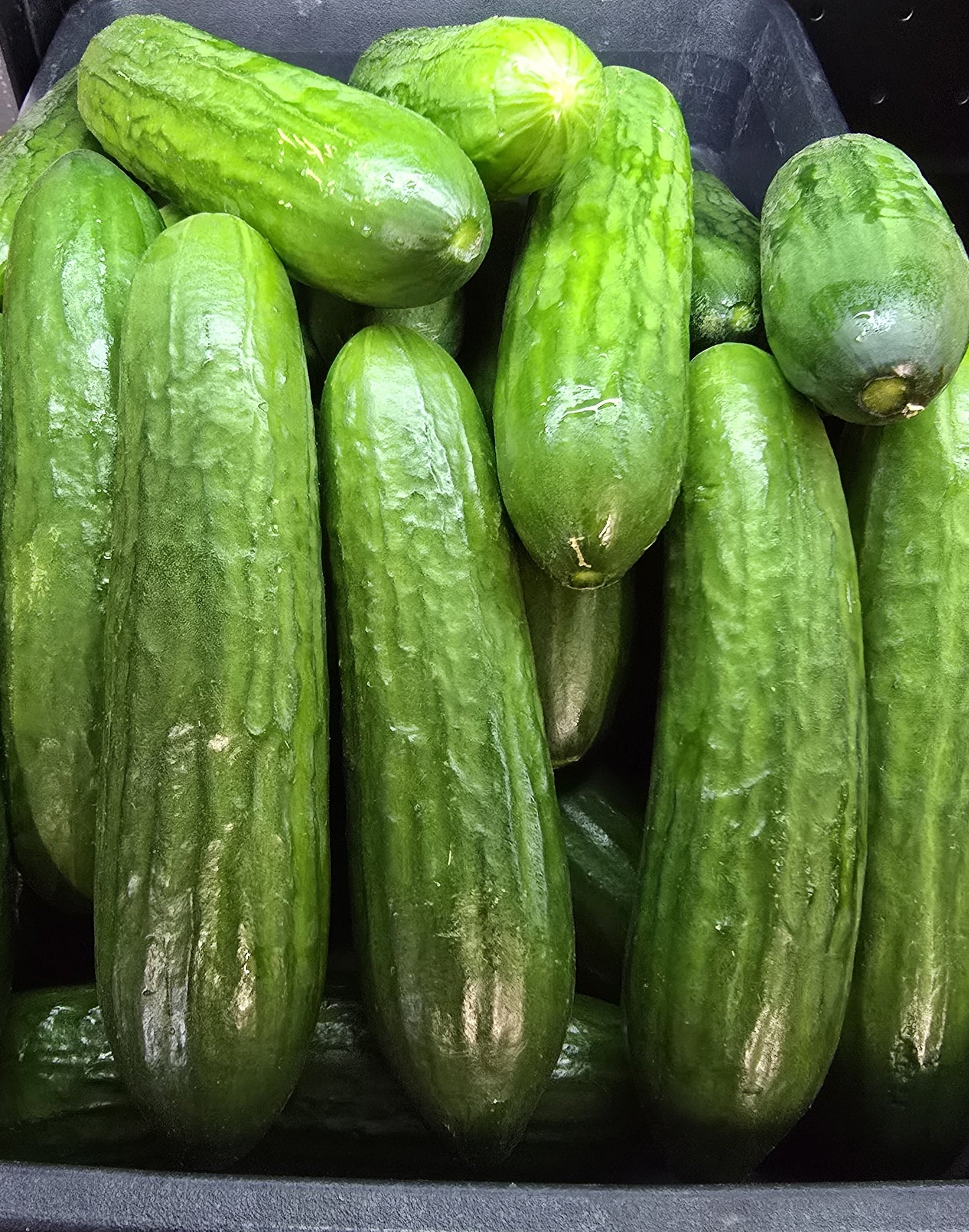 Snack Cucumbers