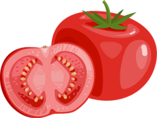 background shape