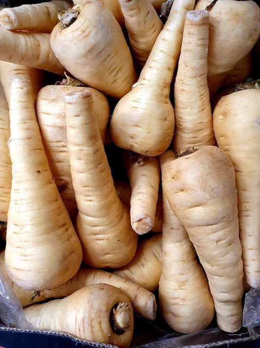Parsnip