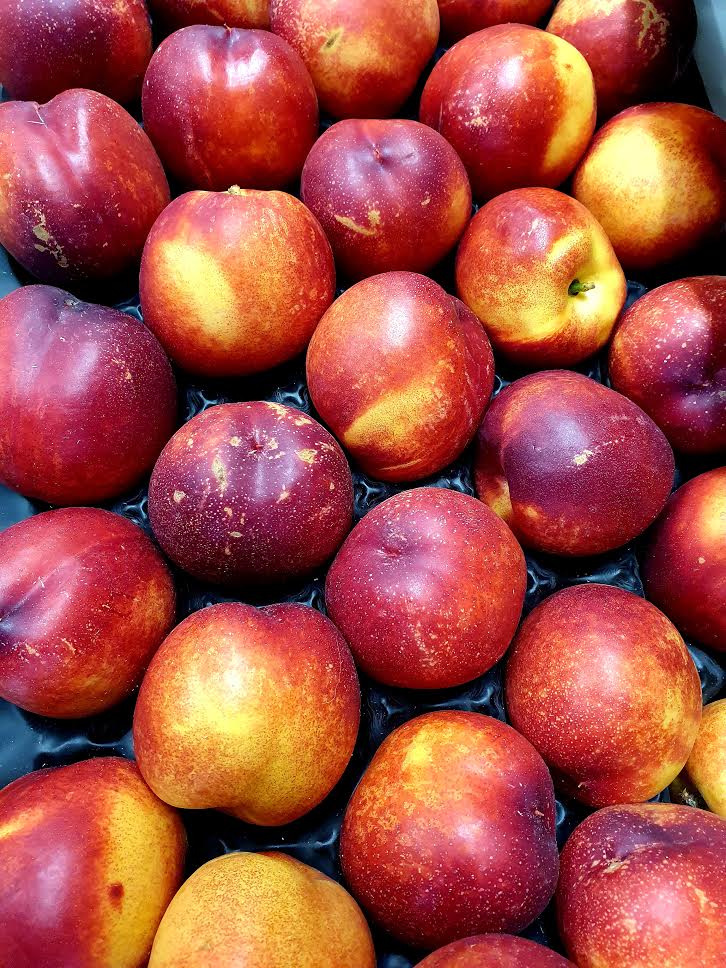 Nectarines