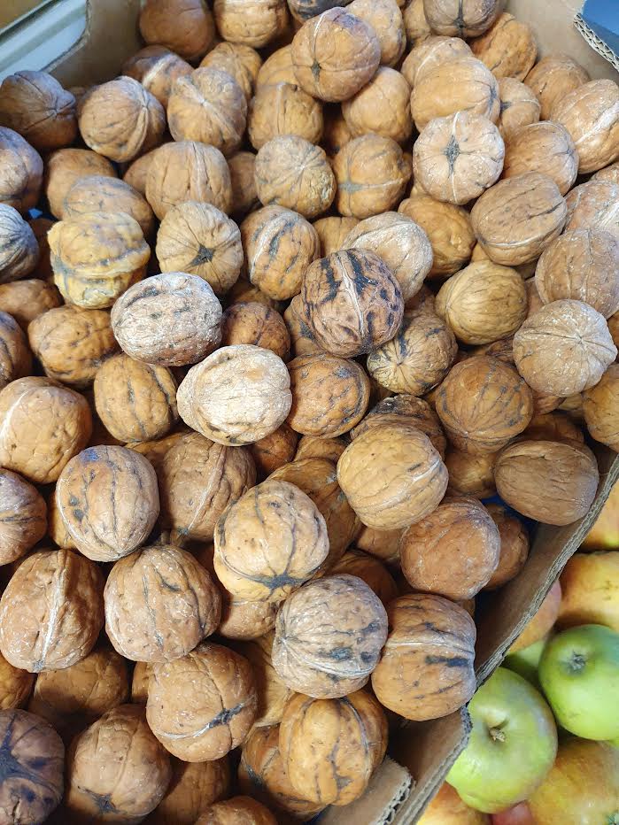 Fresh Walnuts (Wet Walnuts)