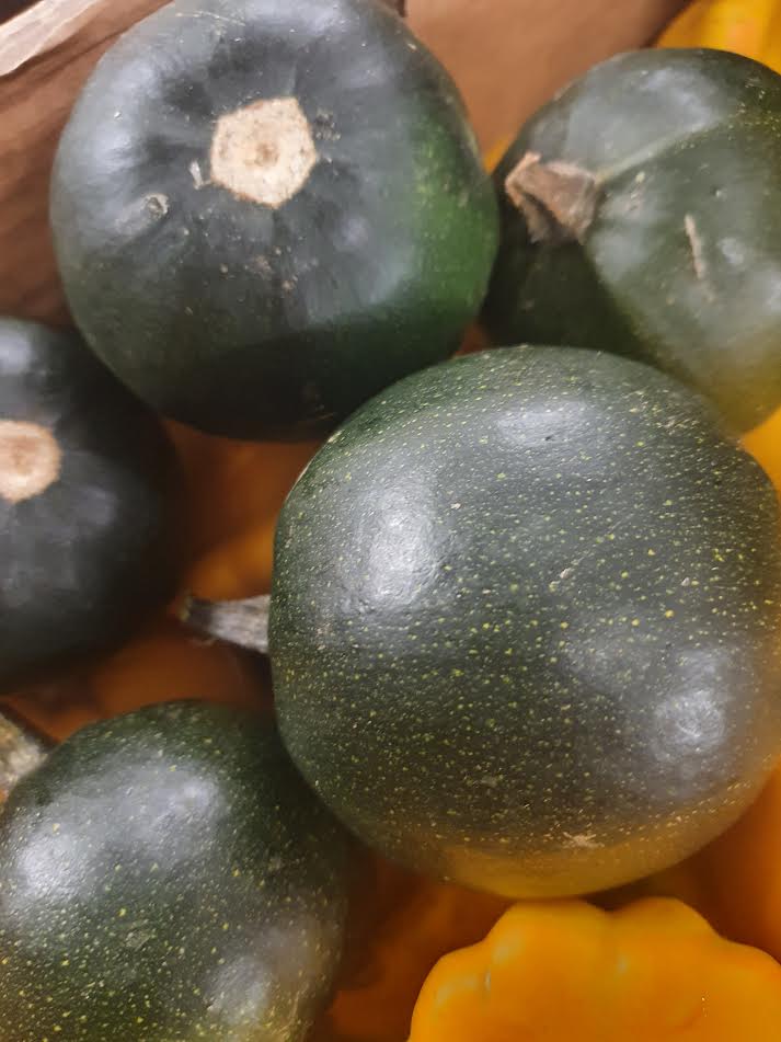 Gem squash