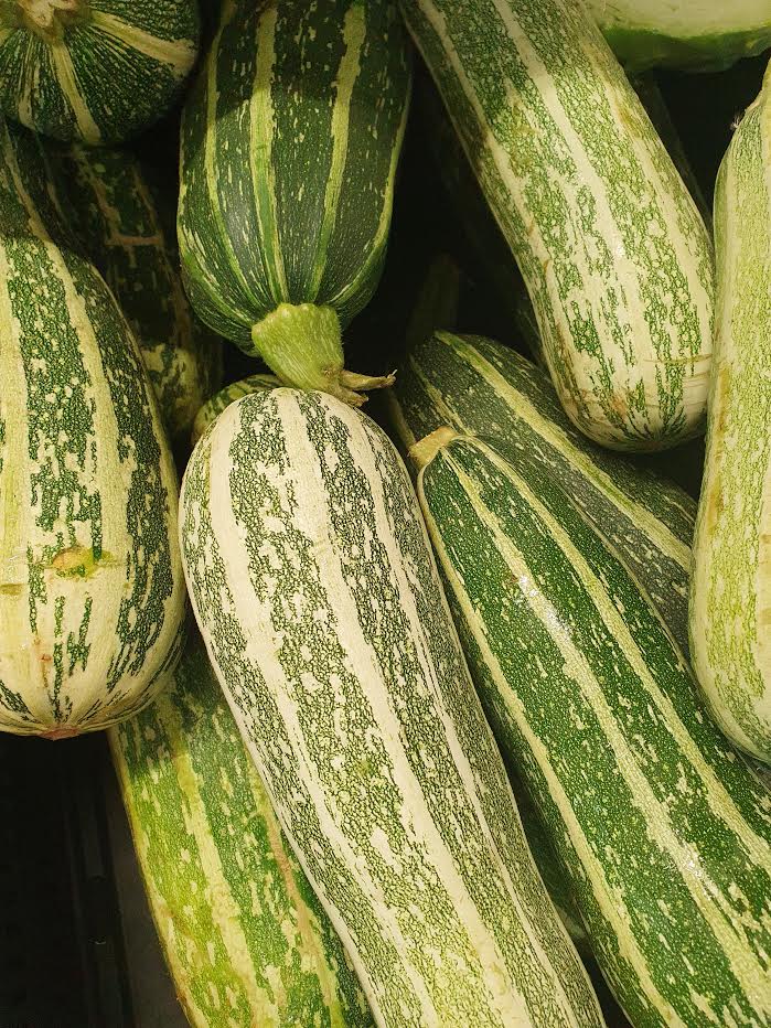 Marrow