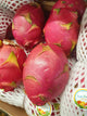 Dragon Fruit (Pitaya)