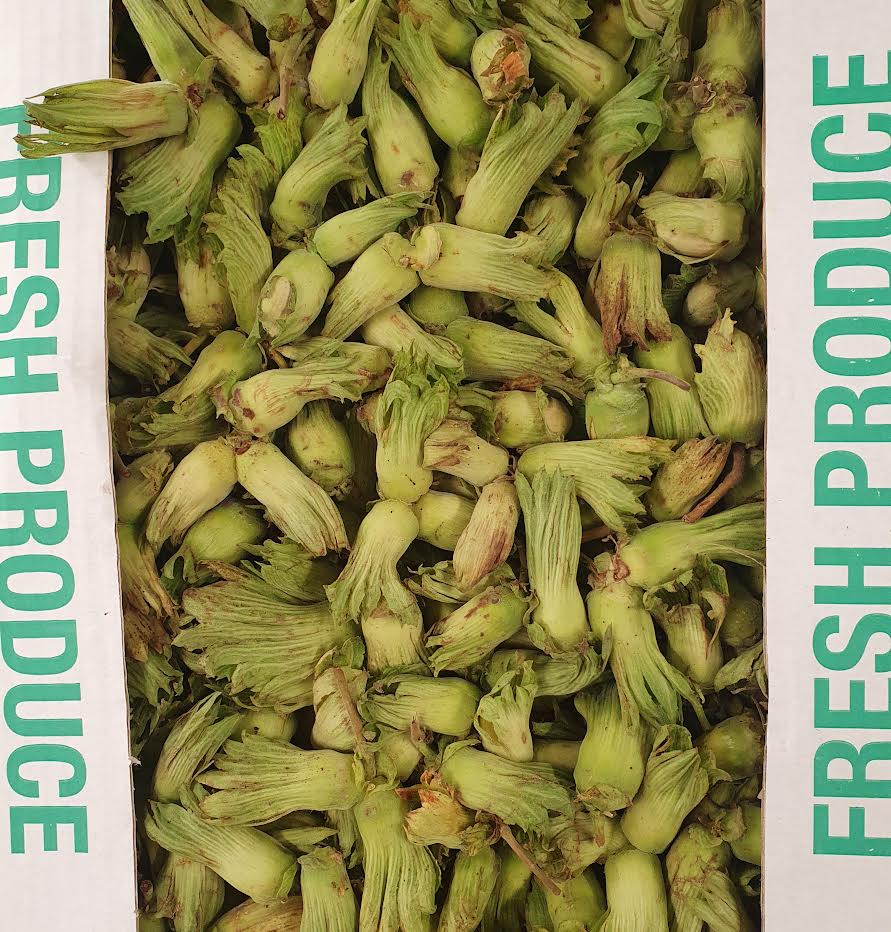 Kent Cobnuts