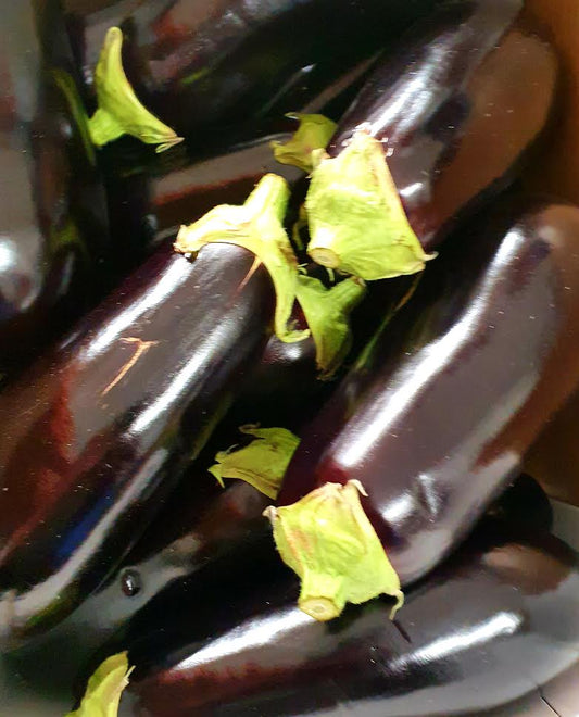 Aubergine