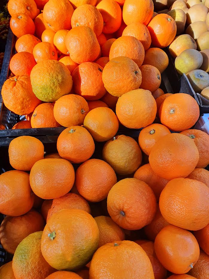 Seville Marmalade Oranges