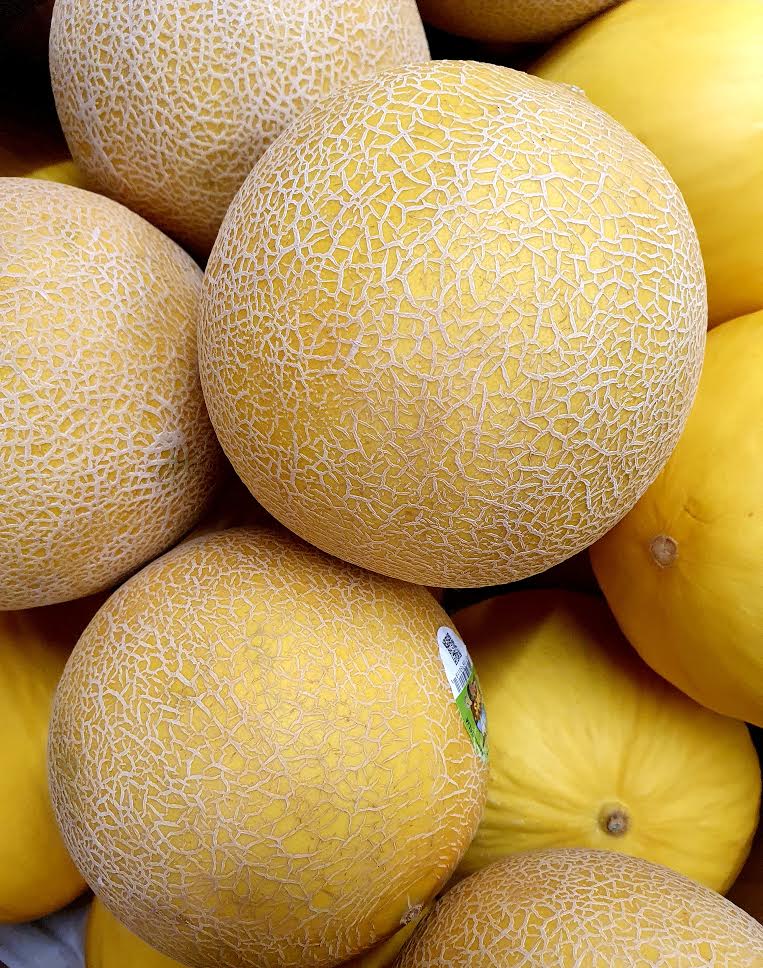 Galia Melons