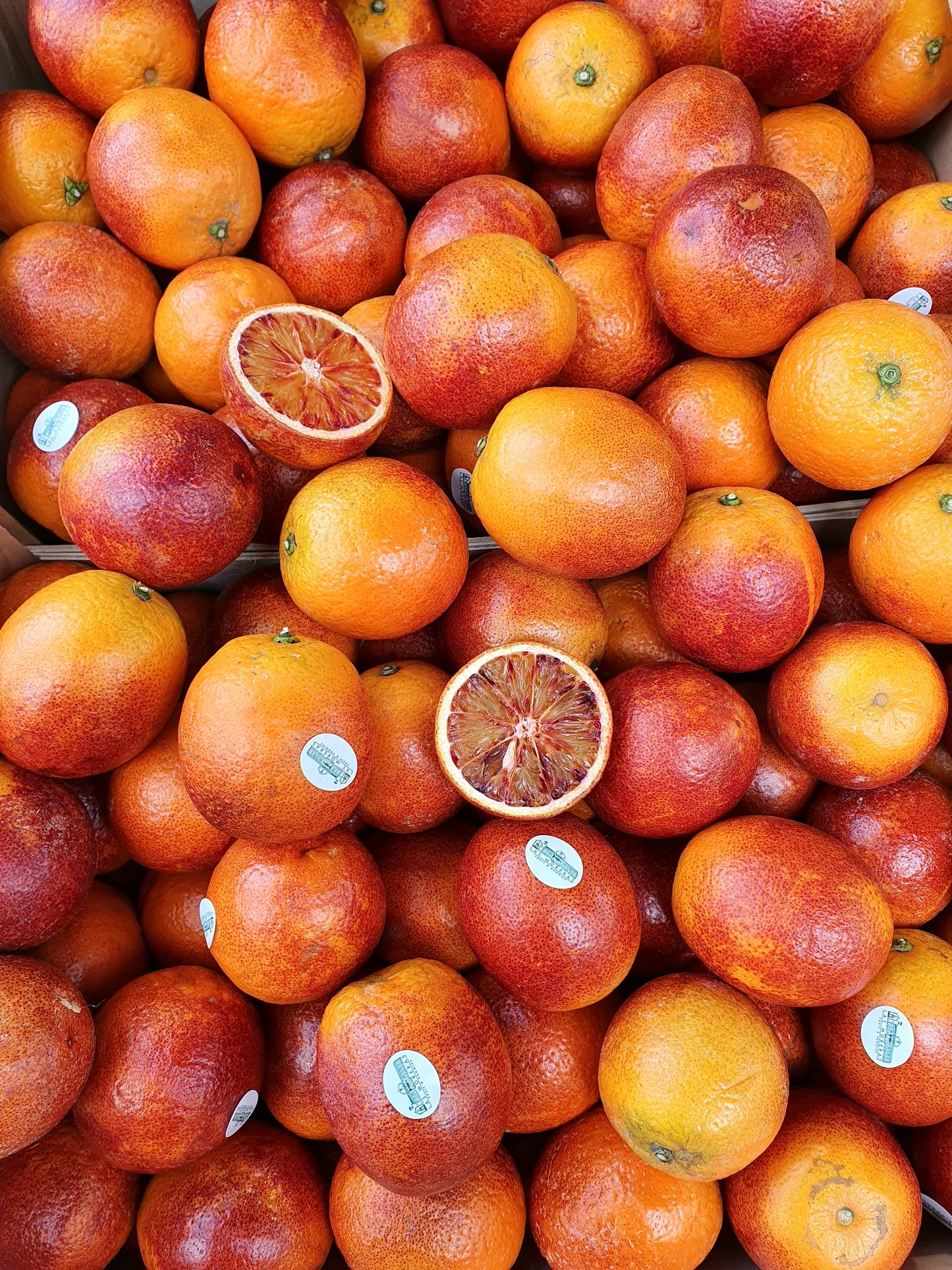 Blood Oranges