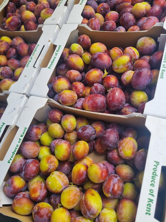 Local English Jubileum Plums