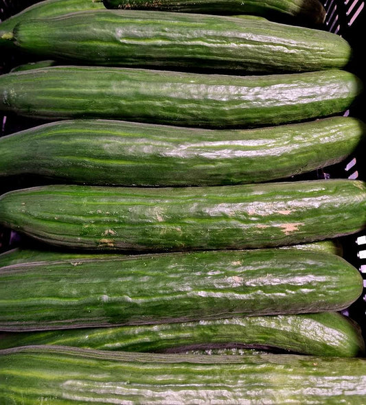 Cucumbers