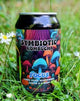 Zambur Ferments Kombucha