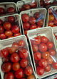 Cherry Tomatoes