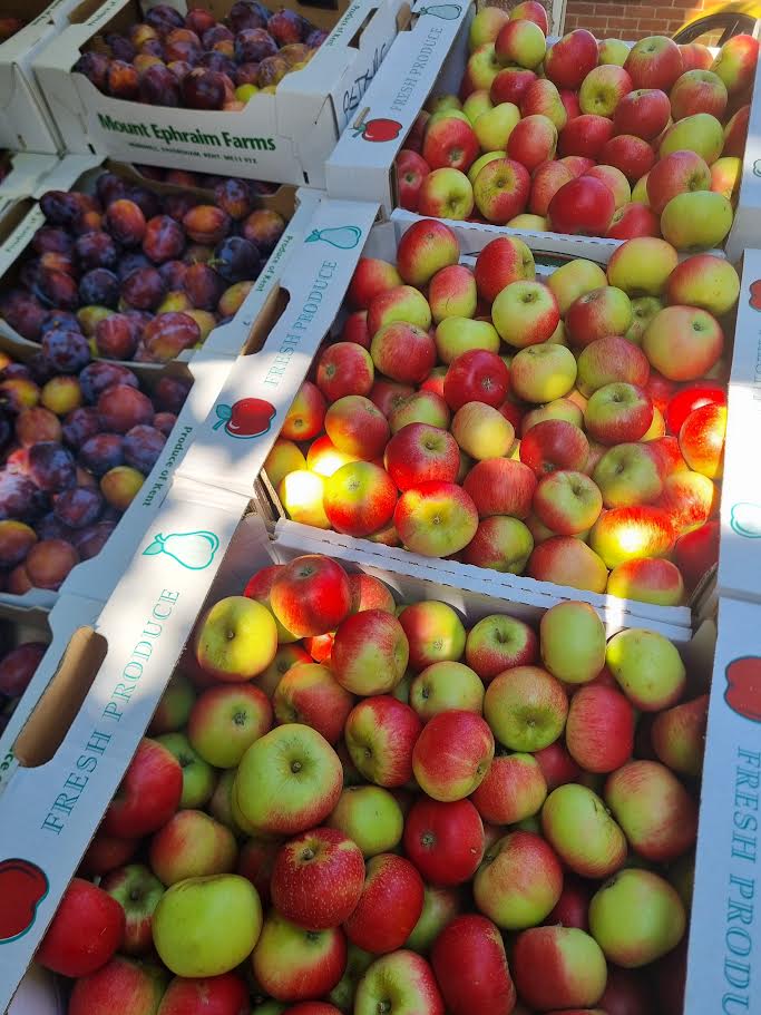 English Discovery Apples