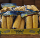 Ready to Eat Corn on the Cob
