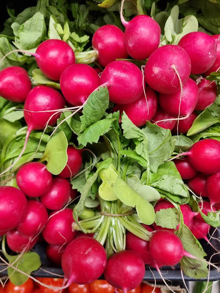 Bunched Radish