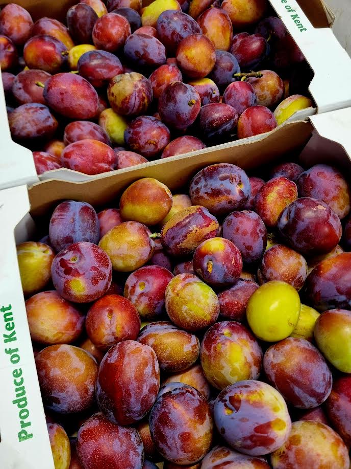 English Jubileum Plums
