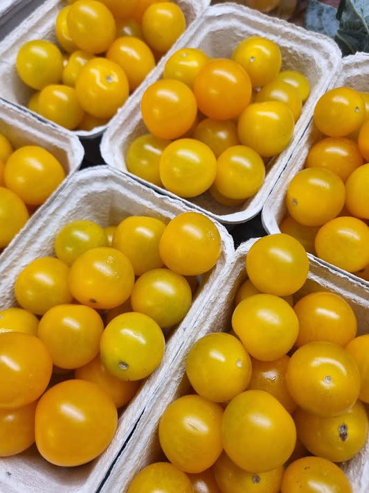Yellow Cherry Tomato