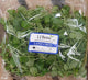 Landcress