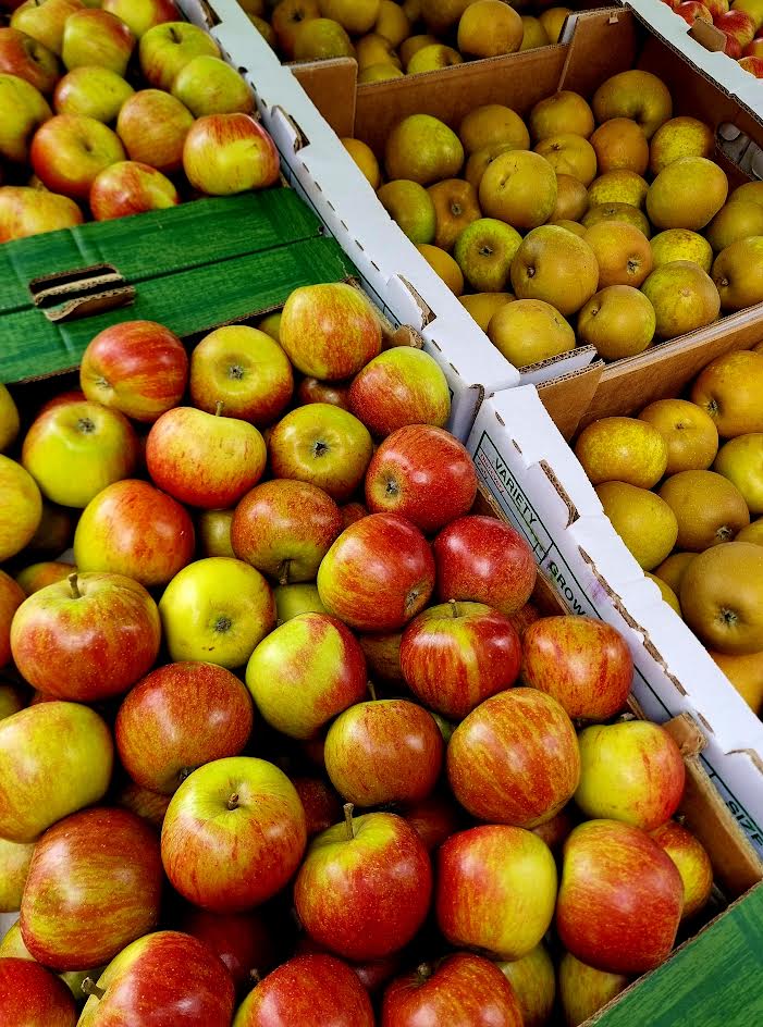 Cox Apples