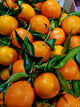 Leafy Clementines