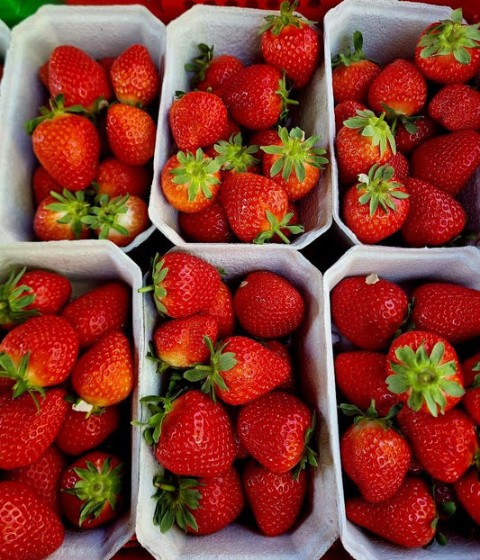 Kent Strawberries