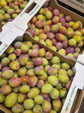 Local English Victoria Plums