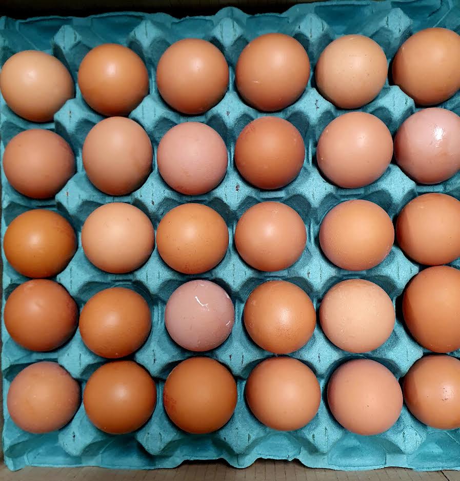 Free Range Eggs per Tray