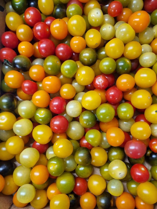 Cherry Tomatoes