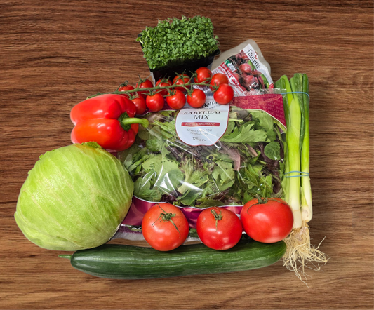Salad Box
