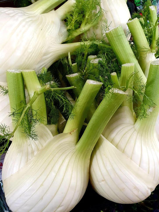 Fennel