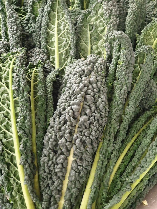 Cavolo Nero/Black Cabbage