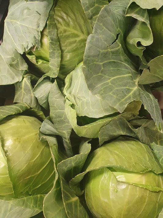 Round Green Cabbage