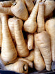 Parsnip