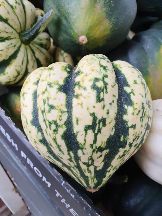 Organic Harlequin Squash