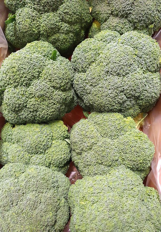 Broccoli