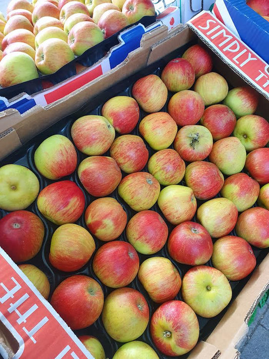 Early Windsor Apples