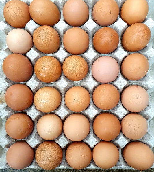 Medium Eggs x30