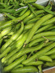 Broad Beans