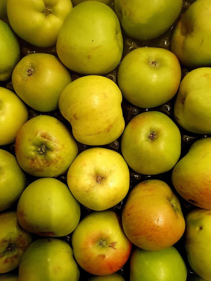 Bramley Cooking Apple