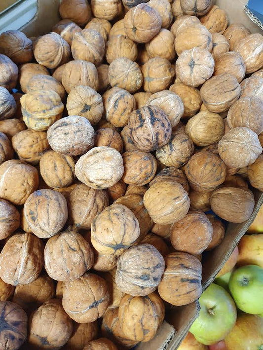 Fresh Walnuts (Wet Walnuts)