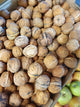 Fresh Walnuts (Wet Walnuts)