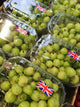 Gooseberries