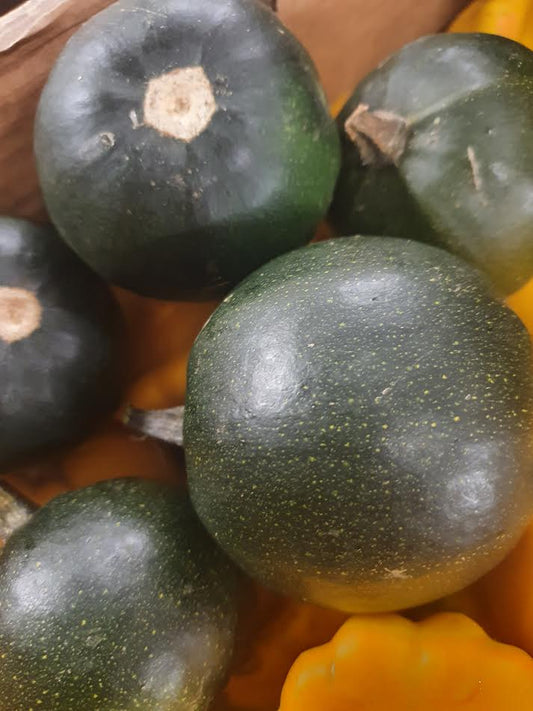 Gem squash